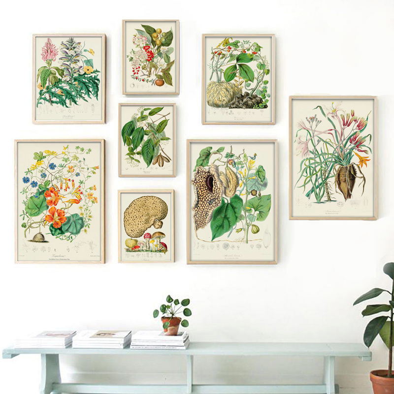 Vintage Collectible Posters - Collection botanique : affiches et impressions